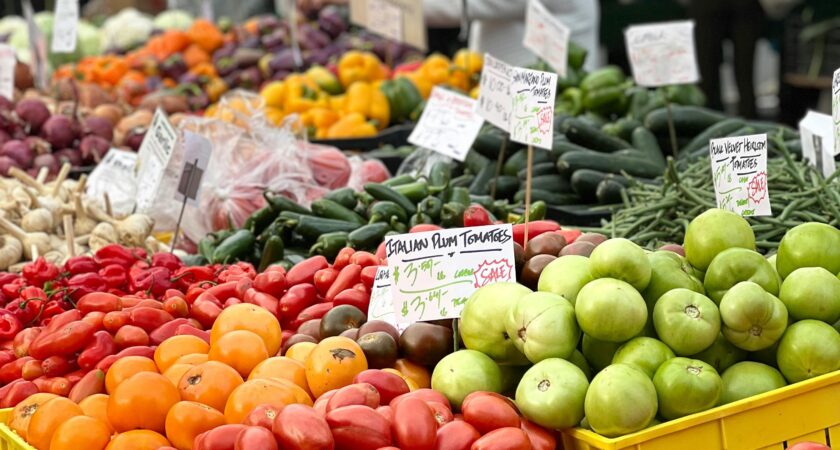 Vermarktung und Wirtschaftlichkeit: Praxisnahe Tipps für Direktvermarktung, Preisgestaltung und Skalierung