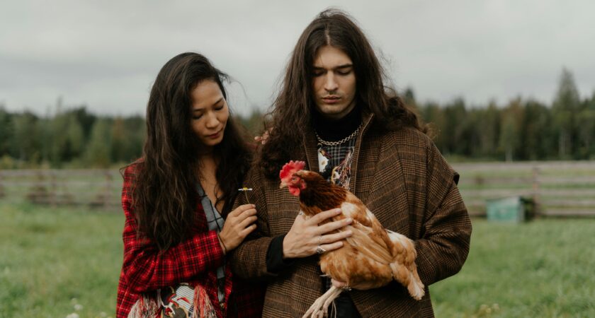 Einführung in die Hühnerfarm: Grundlagen der Hühnerhaltung für Einsteiger